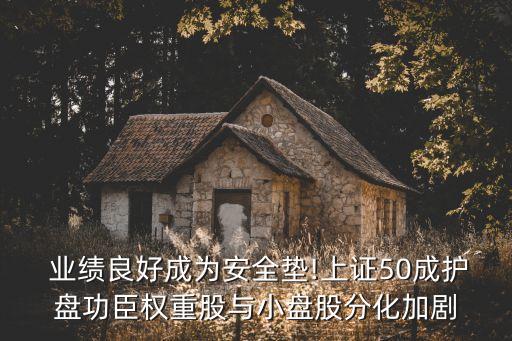  業(yè)績良好成為安全墊!上證50成護盤功臣權重股與小盤股分化加劇