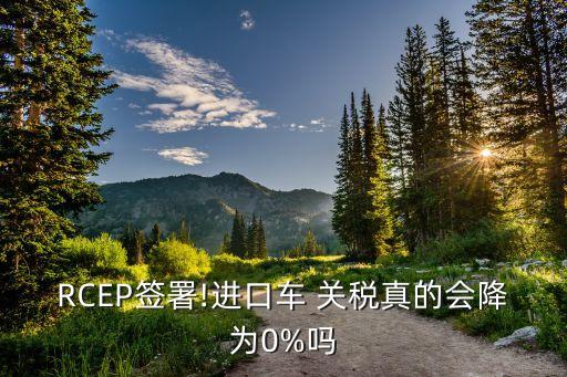 RCEP簽署!進口車 關稅真的會降為0%嗎