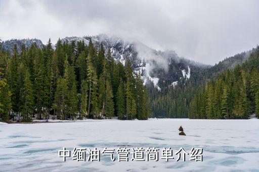 中緬油氣管道簡單介紹