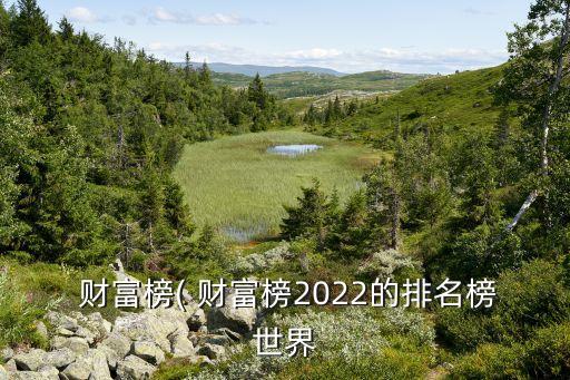  財(cái)富榜( 財(cái)富榜2022的排名榜世界