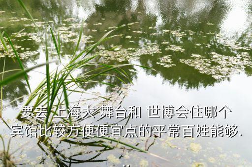 要去 上海大 舞臺和 世博會住哪個賓館比較方便便宜點(diǎn)的平常百姓能夠...