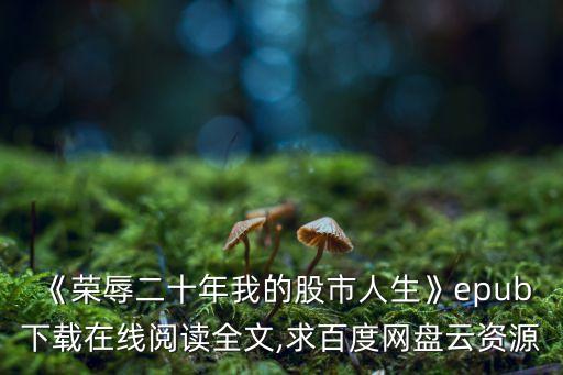 《榮辱二十年我的股市人生》epub下載在線閱讀全文,求百度網(wǎng)盤云資源