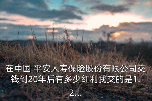 在中國 平安人壽保險股份有限公司交錢到20年后有多少紅利我交的是1.2...