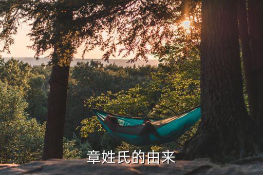 可轉(zhuǎn)換公司債券在哪章,關(guān)于可轉(zhuǎn)換公司債券的說(shuō)法,不正確的是