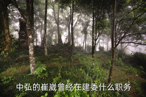  中弘的崔崴曾經(jīng)在建委什么職務