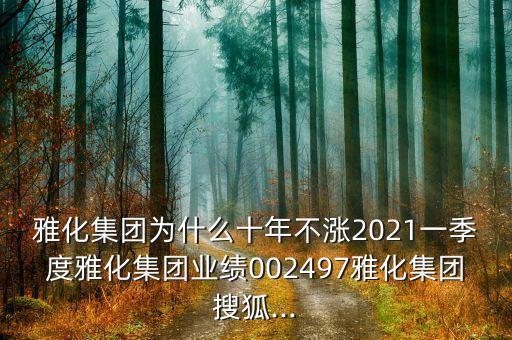 雅化集團(tuán)為什么十年不漲2021一季度雅化集團(tuán)業(yè)績002497雅化集團(tuán)搜狐...