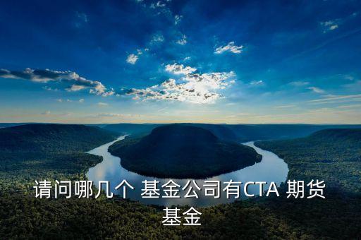 請(qǐng)問哪幾個(gè) 基金公司有CTA 期貨 基金