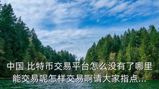 中國 比特幣交易平臺怎么沒有了哪里能交易呢怎樣交易啊請大家指點...