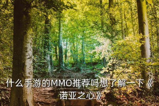 什么手游的MMO推薦嗎想了解一下《 諾亞之心》