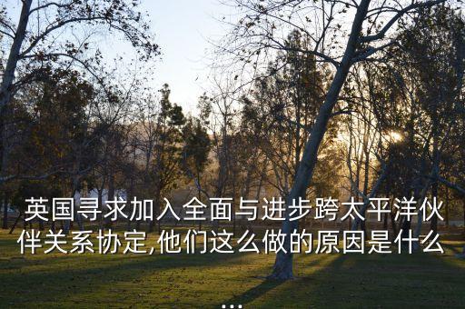 英國脫歐加入中國