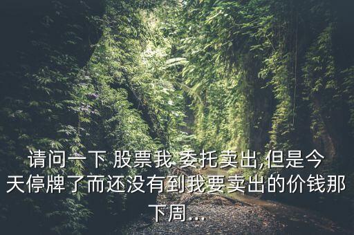 股票昨日的委托,股票什么時(shí)候可以委托交易