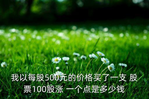 我以每股500元的價格買了一支 股票100股漲 一個點是多少錢