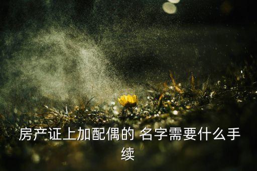  房產(chǎn)證上加配偶的 名字需要什么手續(xù)