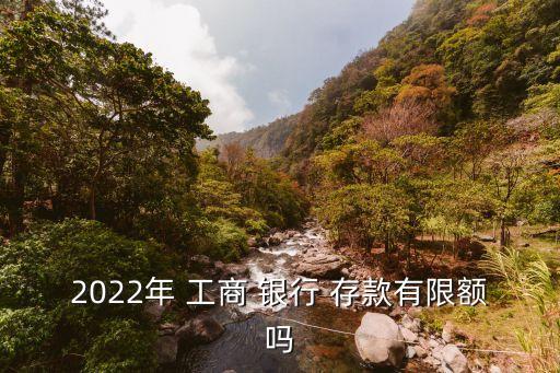 2022年 工商 銀行 存款有限額嗎