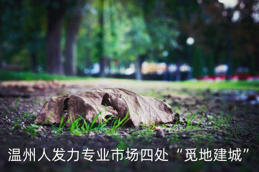 溫州人發(fā)力專業(yè)市場四處“覓地建城”