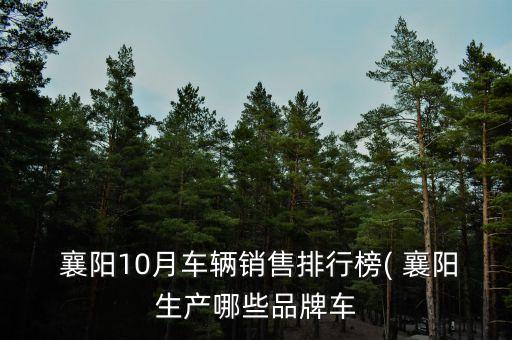 襄陽(yáng)華新建山新材料有限公司