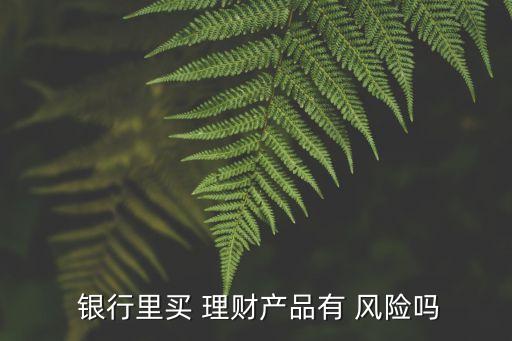  銀行里買 理財(cái)產(chǎn)品有 風(fēng)險(xiǎn)嗎