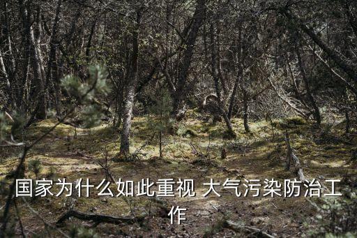 國家為什么如此重視 大氣污染防治工作