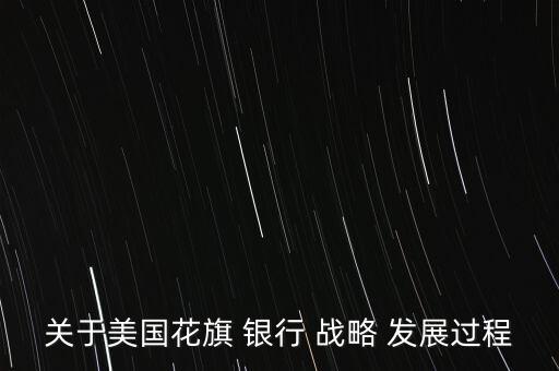 不同規(guī)模銀行發(fā)展戰(zhàn)略,中國郵政儲蓄銀行發(fā)展戰(zhàn)略