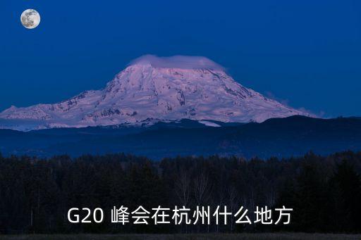 G20 峰會(huì)在杭州什么地方