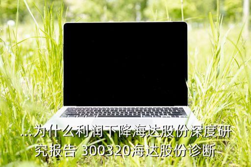 ...為什么利潤下降海達(dá)股份深度研究報告 300320海達(dá)股份診斷