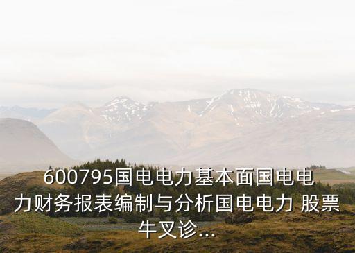  600795國電電力基本面國電電力財(cái)務(wù)報(bào)表編制與分析國電電力 股票牛叉診...