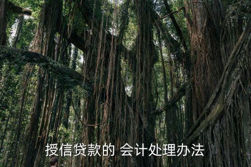 授信貸款的 會(huì)計(jì)處理辦法