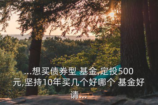 ...想買(mǎi)債券型 基金,定投500元,堅(jiān)持10年買(mǎi)幾個(gè)好哪個(gè) 基金好請(qǐng)...