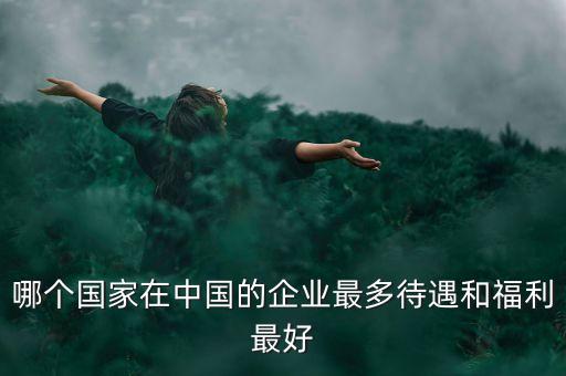 哪個(gè)國家在中國的企業(yè)最多待遇和福利最好