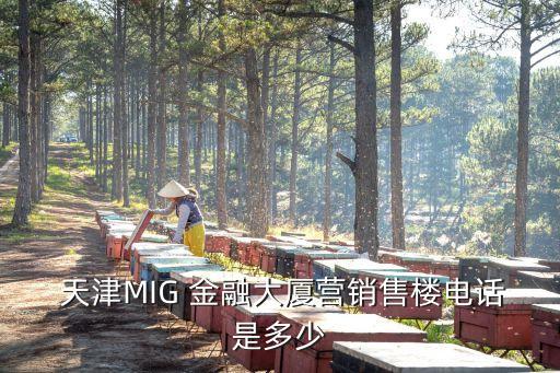 天津于西礦產(chǎn)金融公司,天津正規(guī)的貸款金融公司