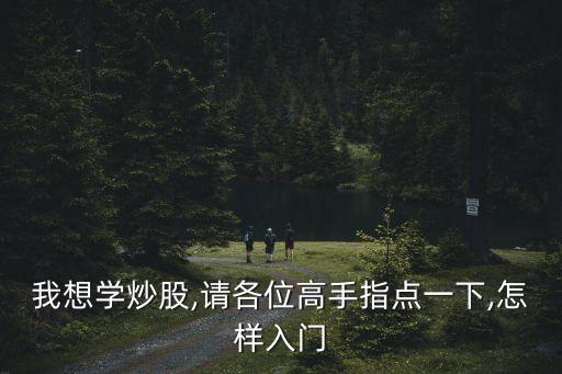 我想學(xué)炒股,請(qǐng)各位高手指點(diǎn)一下,怎樣入門