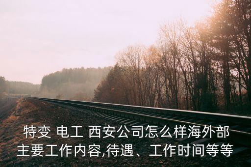  特變 電工 西安公司怎么樣海外部主要工作內(nèi)容,待遇、工作時間等等