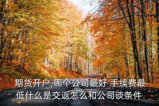  期貨開戶,哪個(gè)公司最好 手續(xù)費(fèi)最低什么是交返怎么和公司談條件