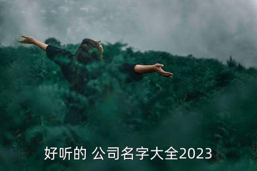 好聽的 公司名字大全2023