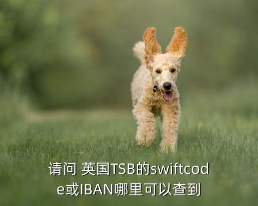 請(qǐng)問 英國(guó)TSB的swiftcode或IBAN哪里可以查到