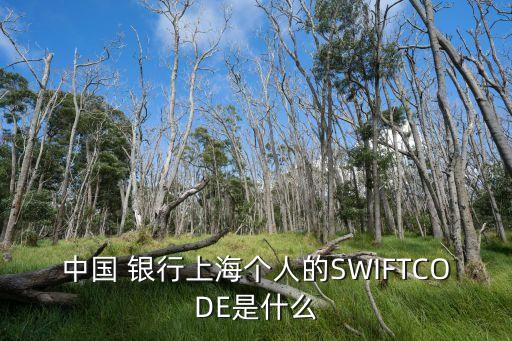 中國 銀行上海個人的SWIFTCODE是什么