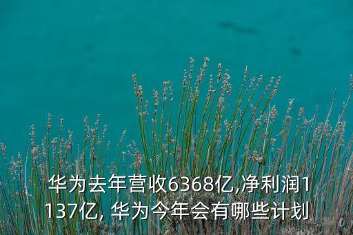  華為去年營收6368億,凈利潤1137億, 華為今年會有哪些計劃