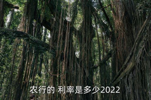 農(nóng)行的 利率是多少2022