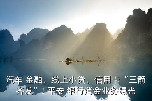 汽車 金融、線上小貸、信用卡“三箭齊發(fā)”! 平安 銀行消金業(yè)務(wù)曝光