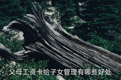 選擇投資與理財(cái)方式,投資與理財(cái)論文3000字