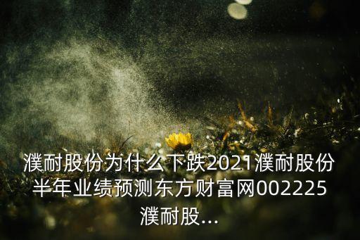 濮耐股份為什么下跌2021濮耐股份半年業(yè)績預(yù)測東方財富網(wǎng)002225濮耐股...