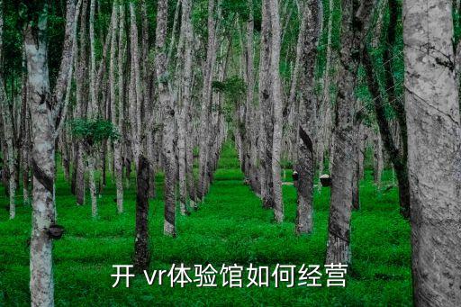 開 vr體驗館如何經(jīng)營