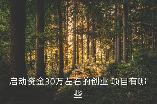 30萬上下投資什么項(xiàng)目,我有30萬應(yīng)該投資什么