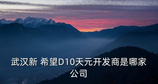 武漢新 希望D10天元開發(fā)商是哪家公司