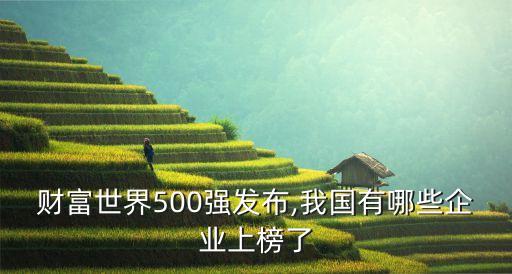 財富世界500強發(fā)布,我國有哪些企業(yè)上榜了