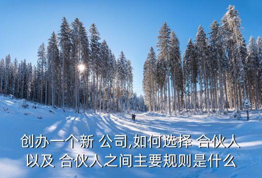 公司如何合伙人制度,公司合伙人制度方案