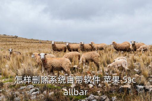 怎樣刪除系統(tǒng)自帶軟件 蘋(píng)果 5scallbar