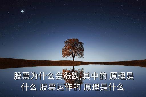 股票補(bǔ)跌的原理,股票買(mǎi)跌是什么原理