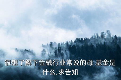 很想了解下金融行業(yè)常說(shuō)的母 基金是什么,求告知