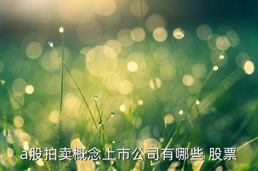 a股拍賣概念上市公司有哪些 股票